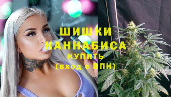стафф Абаза