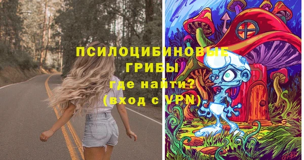 стафф Абаза