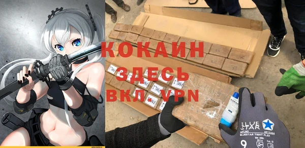 дживик Абинск