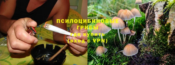 дживик Абинск