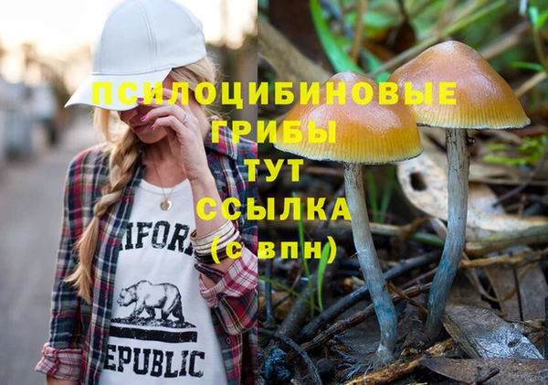 стафф Абаза