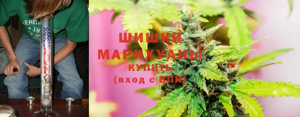 дживик Абинск