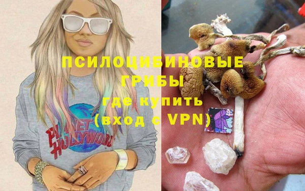 стафф Абаза