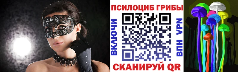 купить наркотики сайты  Ковдор  Псилоцибиновые грибы мицелий 